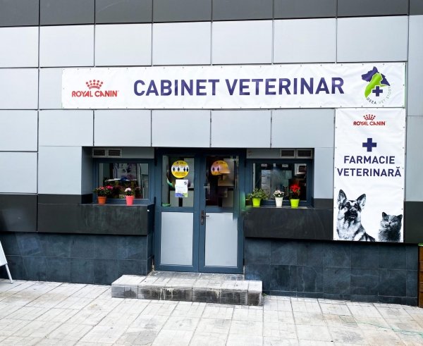 Deea Vet Story - Cabinet veterinar